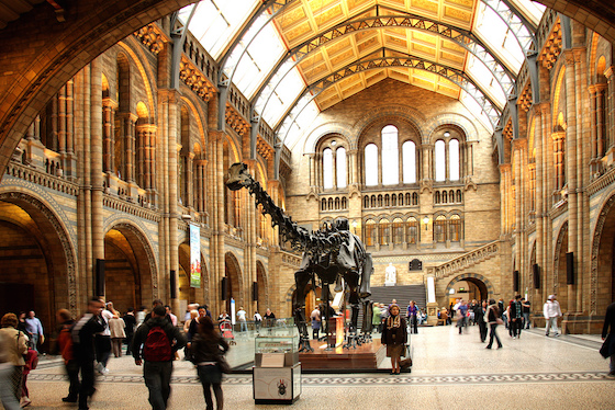 The Natural History Museum2