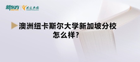 澳洲纽卡斯尔大学新加坡分校怎么样？