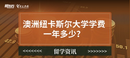 澳洲纽卡斯尔大学学费一年多少？