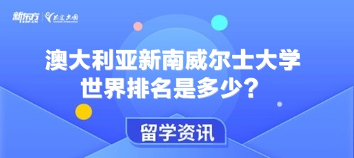 澳大利亚新南威尔士大学世界排名是多少？