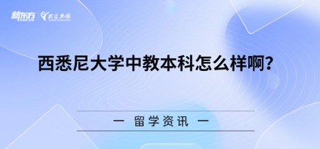 西悉尼大学中教本科怎么样啊？