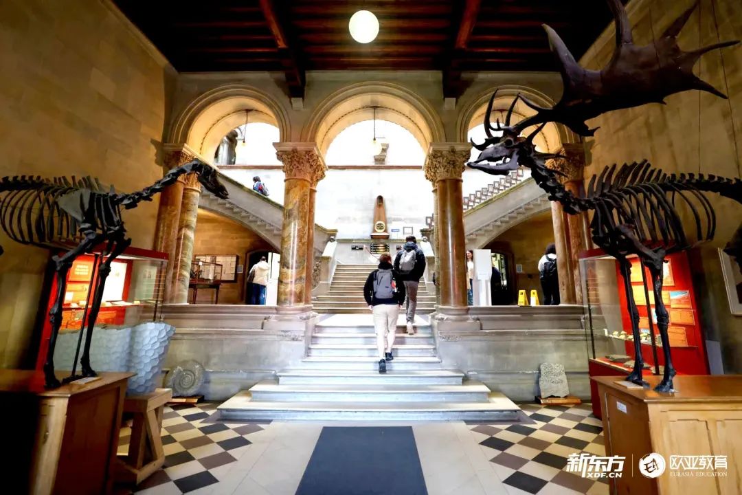 【欧洲探校】打开“最美校园”圣三一大学的探索地图！