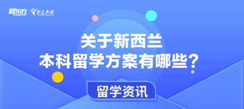 关于新西兰本科留学方案有哪些？