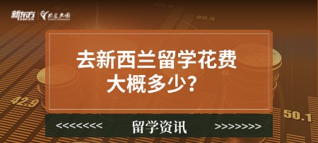 去新西兰留学花费大概多少？