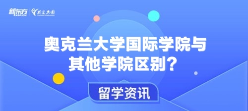 奥克兰大学国际学院与其他学院区别？