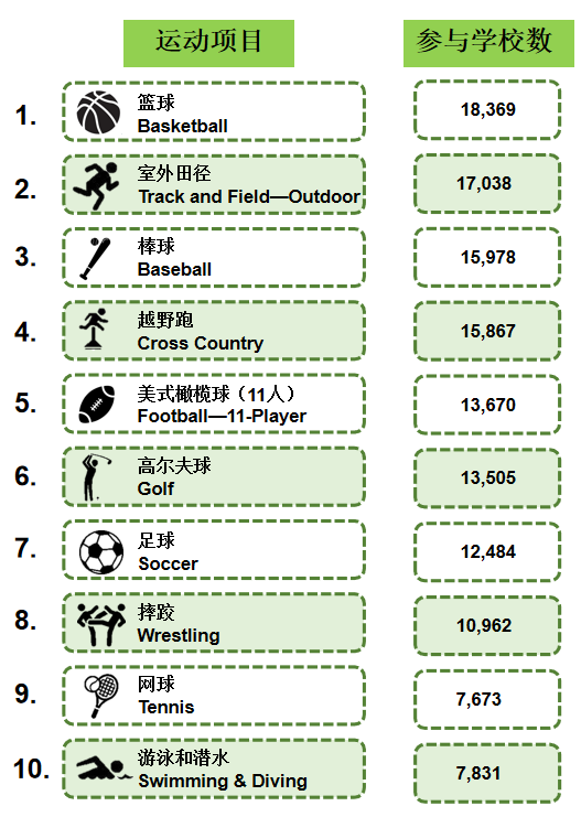【重点关注】美国高中备受欢迎的体育运动有哪些？