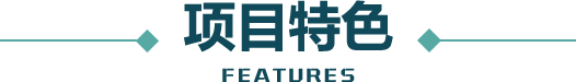 项目特色