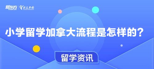 小学留学加拿大流程是怎样的？