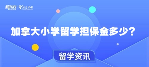 加拿大小学留学担保金多少？