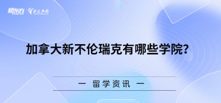 加拿大新不伦瑞克有哪些学院？