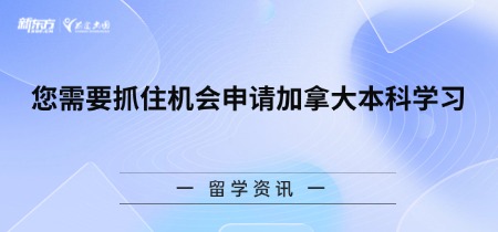 您需要抓住机会申请加拿大本科学习