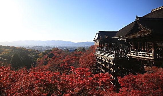 日本风景.jpg