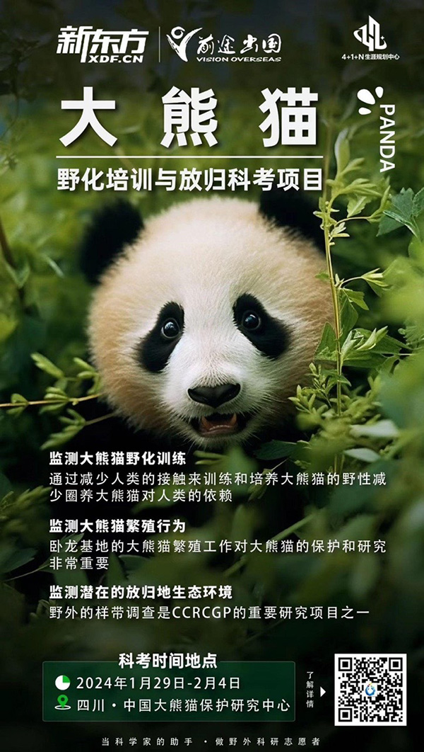 【背景提升项目】大熊猫野化培训与放归科考项目