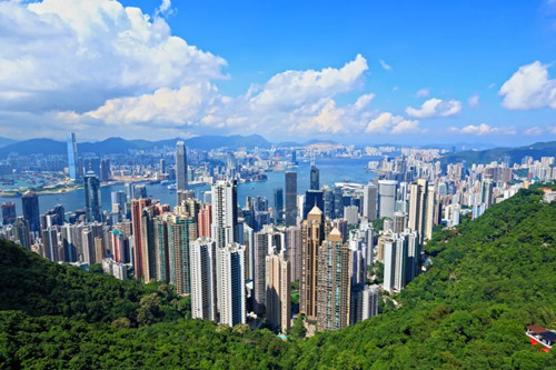 香港前五院校的强势专业都是什么？