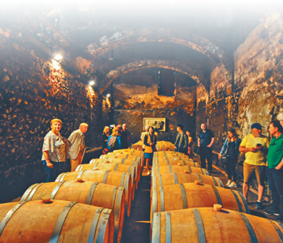 波尔多是法国最大的优质葡萄酒产区。图为在波尔多酒区一家历史悠久的酒庄，酒庄代表正在向游客讲解造酒过程。人民视觉