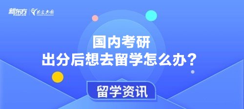 国内考研出分以后想去留学怎么办？