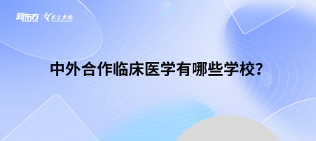 中外合作临床医学有哪些学校？