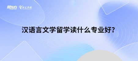 汉语言文学留学读什么专业好？