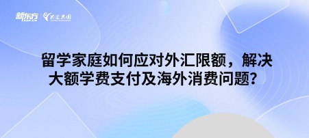 留学家庭如何应对外汇限额，解决大额学费支付及海外消费问题？