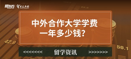 中外合作大学学费一年多少钱？