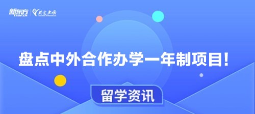 盘点中外合作办学一年制项目！