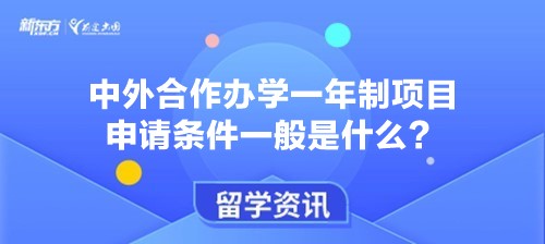 中外合作办学一年制项目申请条件一般是什么？