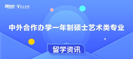 中外合作办学一年制硕士艺术类专业