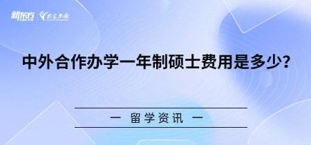 中外合作办学一年制硕士费用是多少？