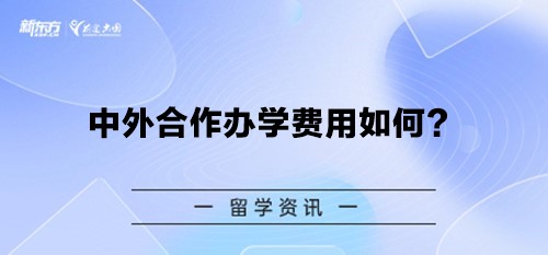 中外合作办学费用如何？