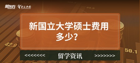 新国立大学硕士费用多少？