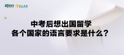 中考后想出国留学各个国家的语言要求是什么？