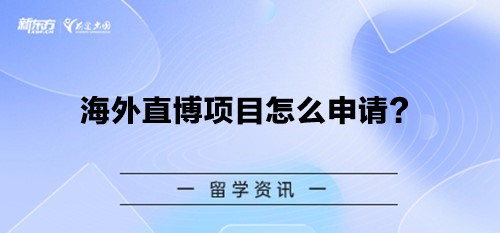 海外直博项目怎么申请？