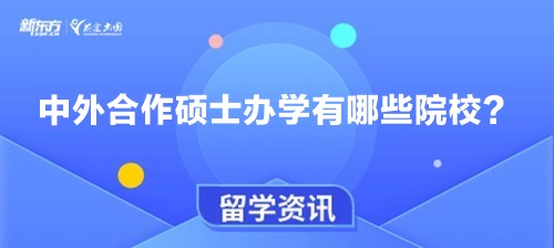 中外合作硕士办学有哪些院校？