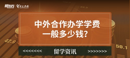 【新疆留学】中外合作办学学费一般多少钱？