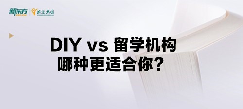 DIY vs 留学机构，哪种更适合你？