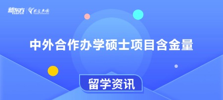 中外合作办学硕士项目含金量