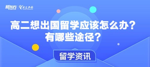 高二想出国留学应该怎么办？有哪些途径？