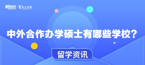 中外合作办学硕士有哪些学校？