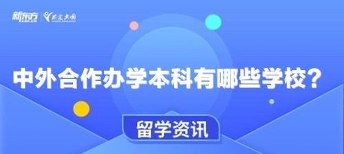 中外合作办学本科有哪些学校？