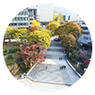 韩国首尔国立大学