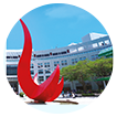 香港科技大学