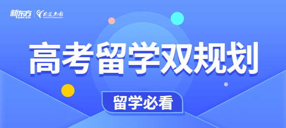 高考留学双保险应该怎么规划时间？