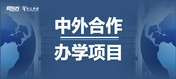 关于中外合作办学项目你了解多少？