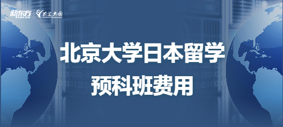 北京大学韩国留学预科班怎么样?