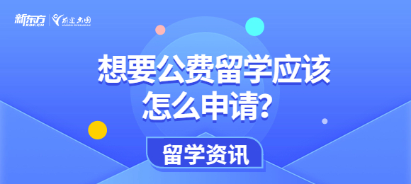 想要公费留学应该怎么申请？