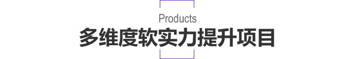 多维度软实力提升项目