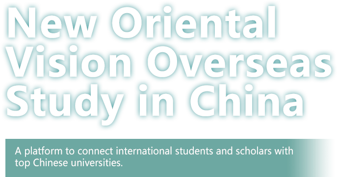 2023 Chinese Summer Programs