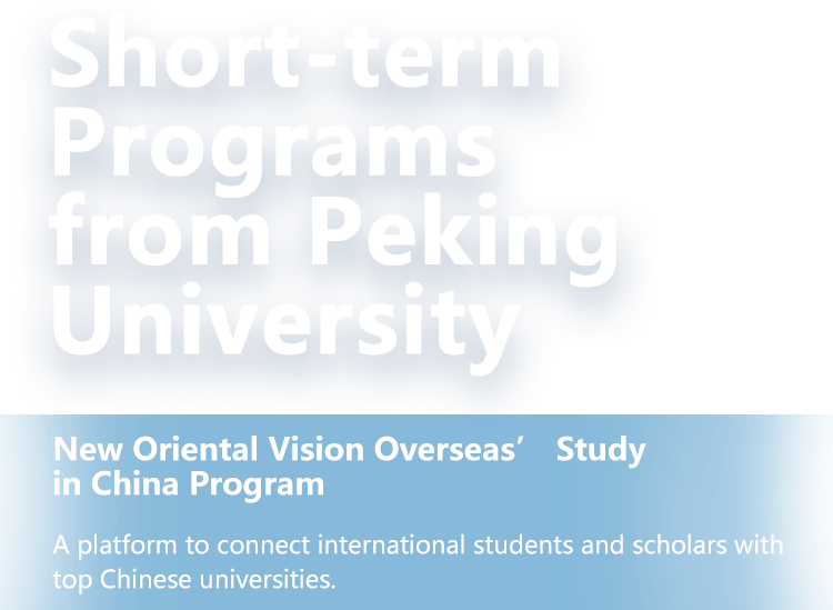 2023 Chinese Summer Programs