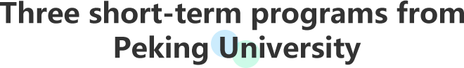 3 short-term programs from  Peking University