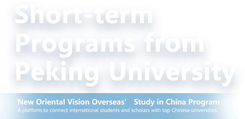 2023 Chinese Summer Programs